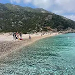 Domu Arangius * Àrbatax