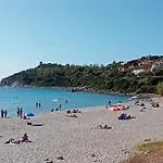 Domu Arangius *