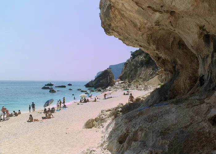 Daire Domu Arangius *