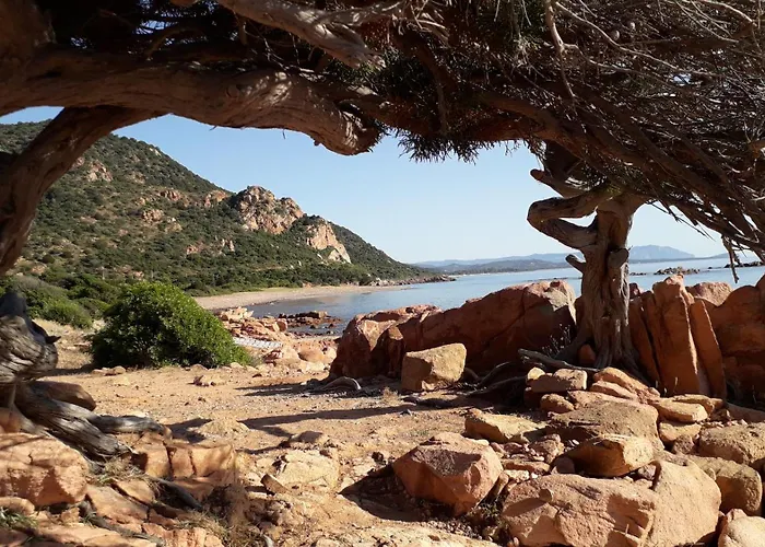 Domu Arangius Daire Àrbatax