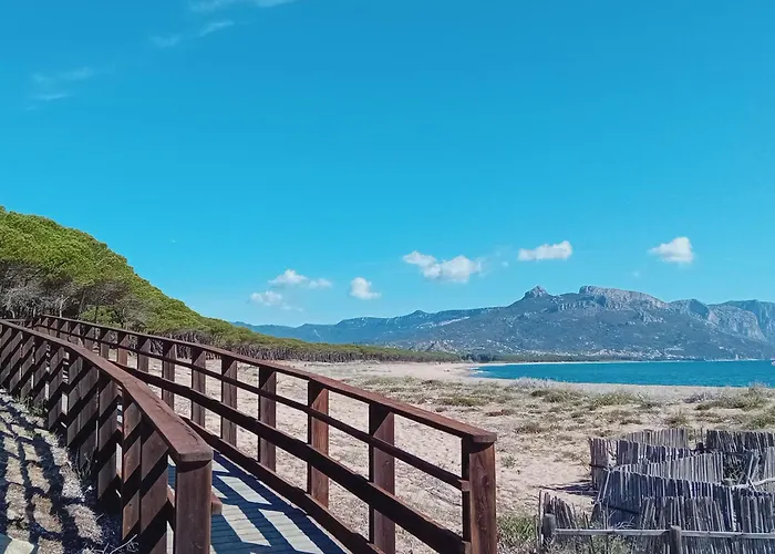 Domu Arangius Àrbatax