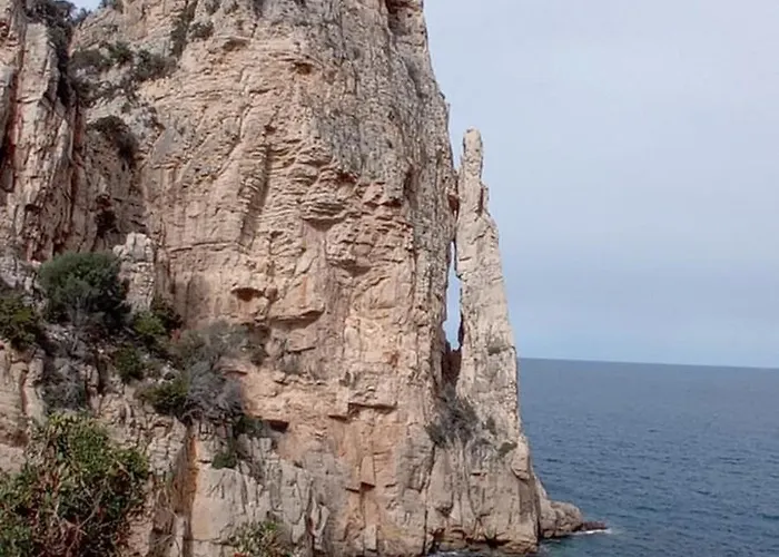 Domu Arangius * Àrbatax