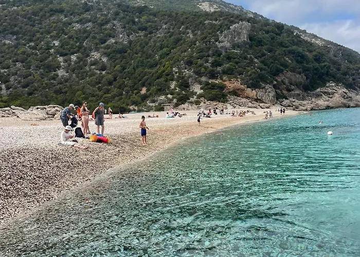 Domu Arangius * Àrbatax