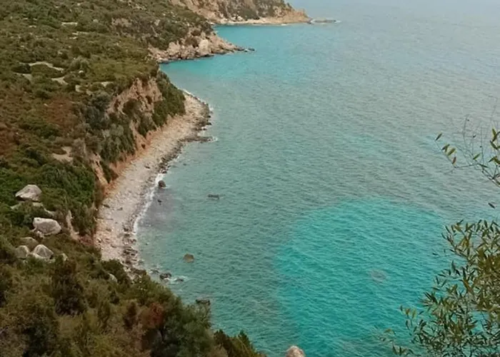 Domu Arangius * Àrbatax