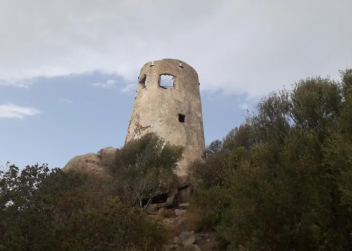 Domu Arangius * Àrbatax