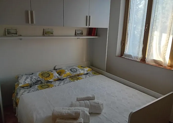 Domu Arangius * Àrbatax