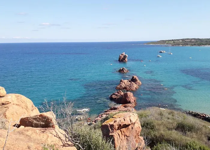 Domu Arangius * Àrbatax