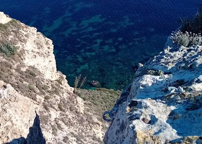 Daire Domu Arangius Àrbatax