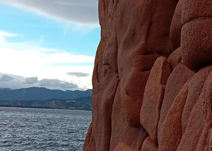 Domu Arangius Àrbatax