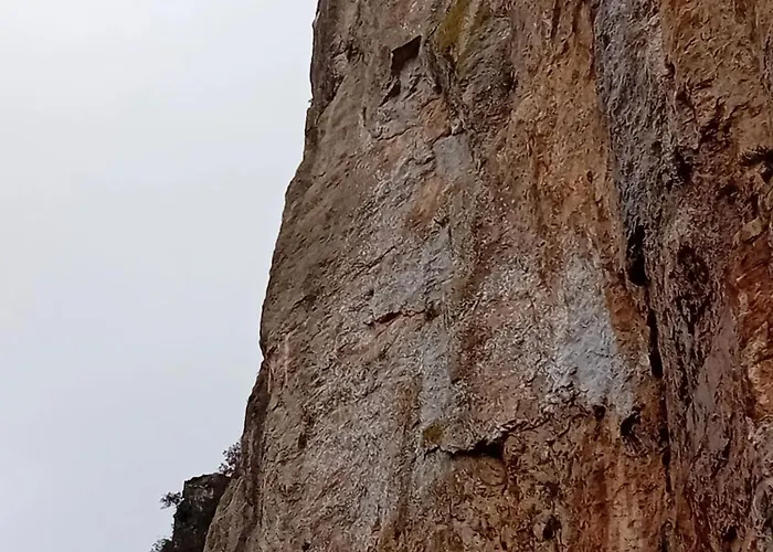 Domu Arangius * Àrbatax