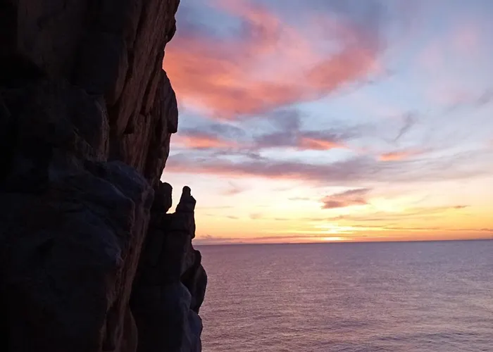 Daire Domu Arangius *