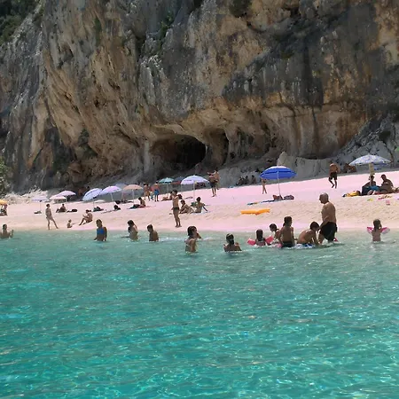 Domu Arangius 阿尔巴塔克斯