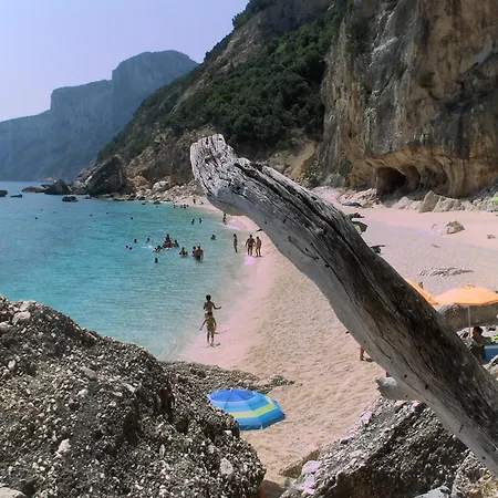 Domu Arangius Apartment