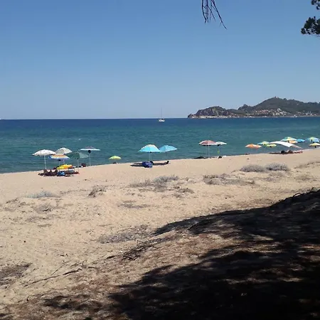 Domu Arangius Àrbatax