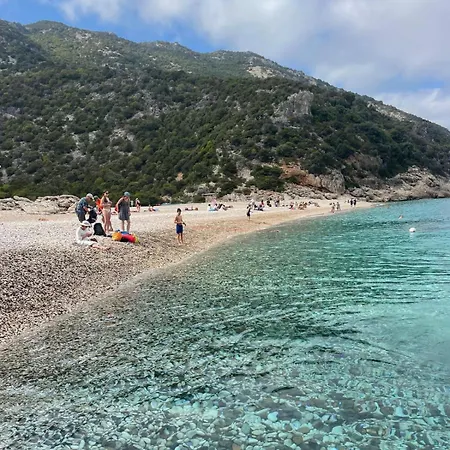 Domu Arangius * Àrbatax