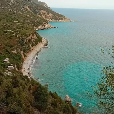 Domu Arangius * Àrbatax