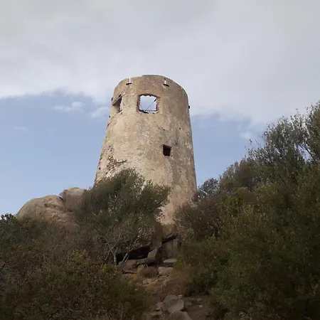 Domu Arangius * Àrbatax