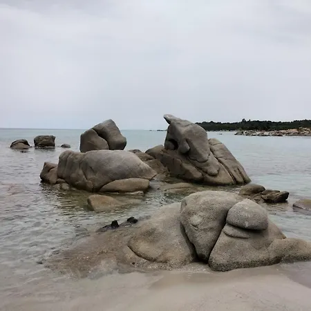 Apartment Domu Arangius