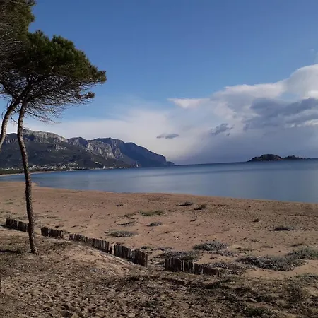 Domu Arangius Apartment *