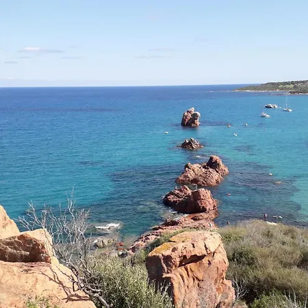 Domu Arangius * Àrbatax