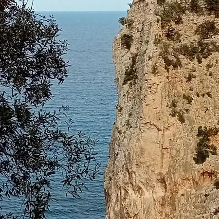 Domu Arangius Apartment *