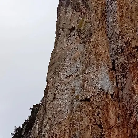 Domu Arangius * Àrbatax