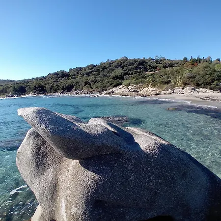 Domu Arangius Àrbatax